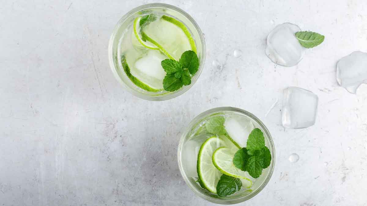 Crea refrescantes recetas con menta | Recetas Nestlé