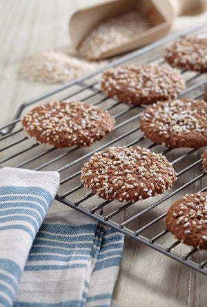 Galletas De Amaranto Y Cocoa Deslactosadas | Recetas Nestlé