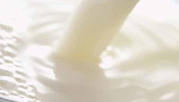 Propiedadades de la leche en polvo – Botanical-online