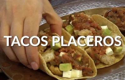 Taco placero